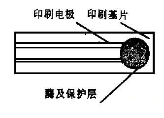 一種便攜式智能血糖測試儀的研制