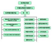 MOST醫(yī)療成像技術 精細解密大腦結構