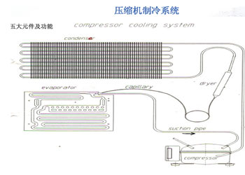 主流車載冰箱技術(shù) 壓縮機車載冰箱工作原理