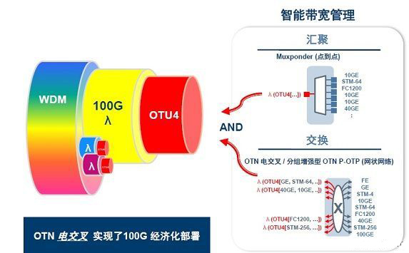 100G OTN處理器加速推進光網(wǎng)帶寬虛擬化