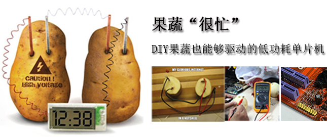 果蔬“很忙”：DIY果蔬也能驅(qū)動(dòng)的低功耗單片機(jī)